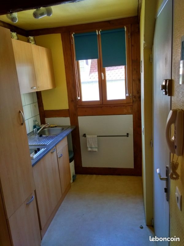 Appartement à louer, 30m², Colmar