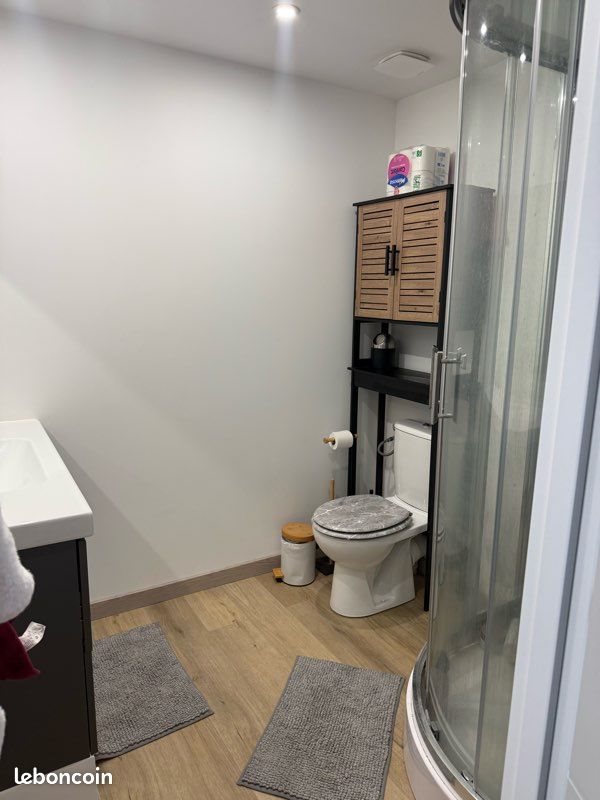 Appartement à louer, 75m², Roche-la-Molière