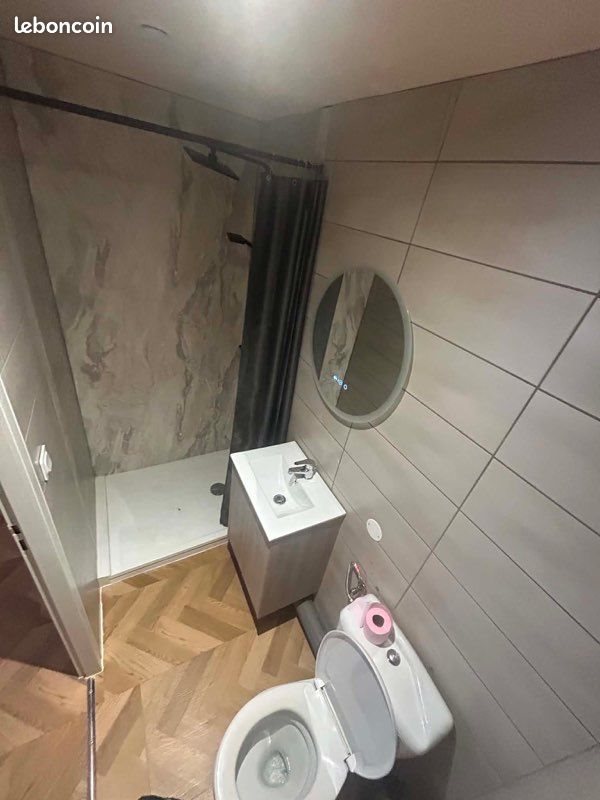 Appartement à louer, 30m², Ensisheim
