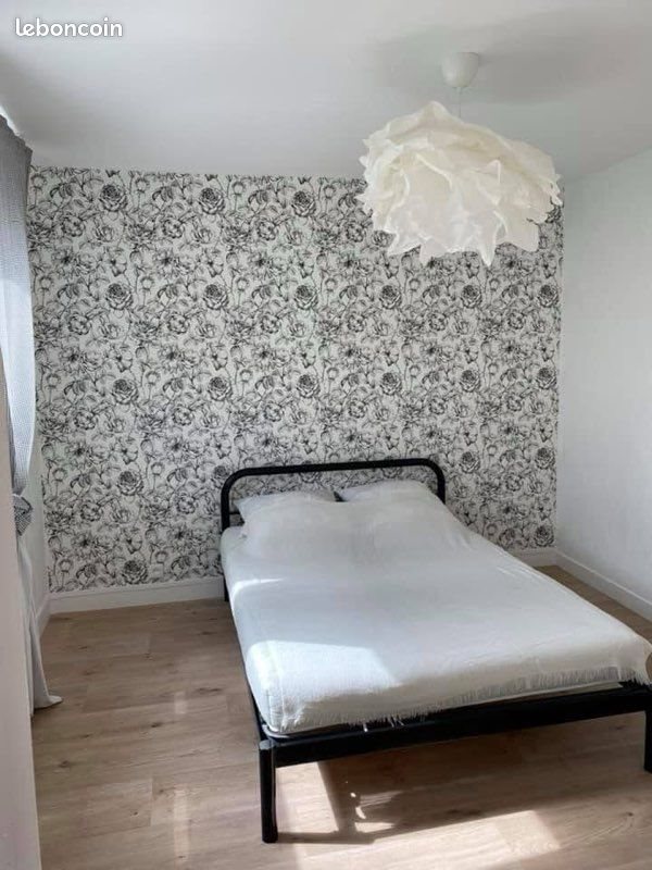 Appartement à louer, 50m², Olivet