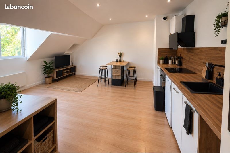Appartement à louer, 55m², Millau
