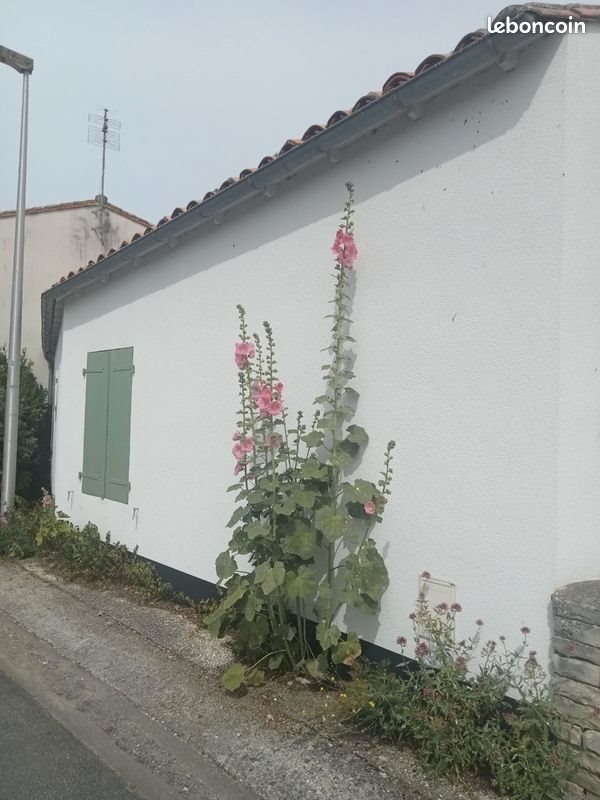 Maison à vendre, 83m², Le Bois-Plage-en-Ré