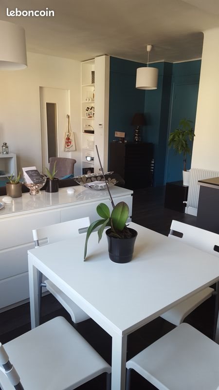 Appartement à louer, 47m², Villeurbanne
