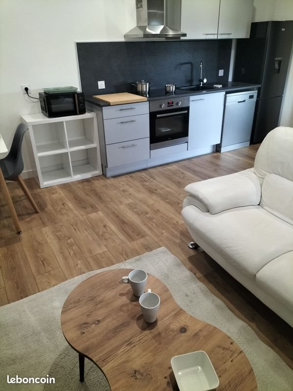 Appartement à louer, 48m², Saint-Just-Saint-Rambert