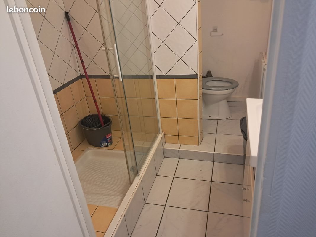Appartement à louer, 32m², Saint-Etienne
