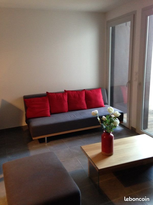 Appartement à louer, 49m², Lyon 7ème