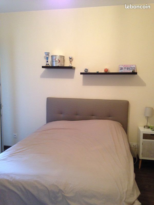Appartement à louer, 49m², Lyon 7ème