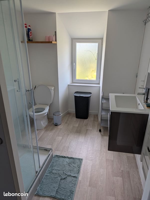 Appartement à louer, 45m², Lécousse