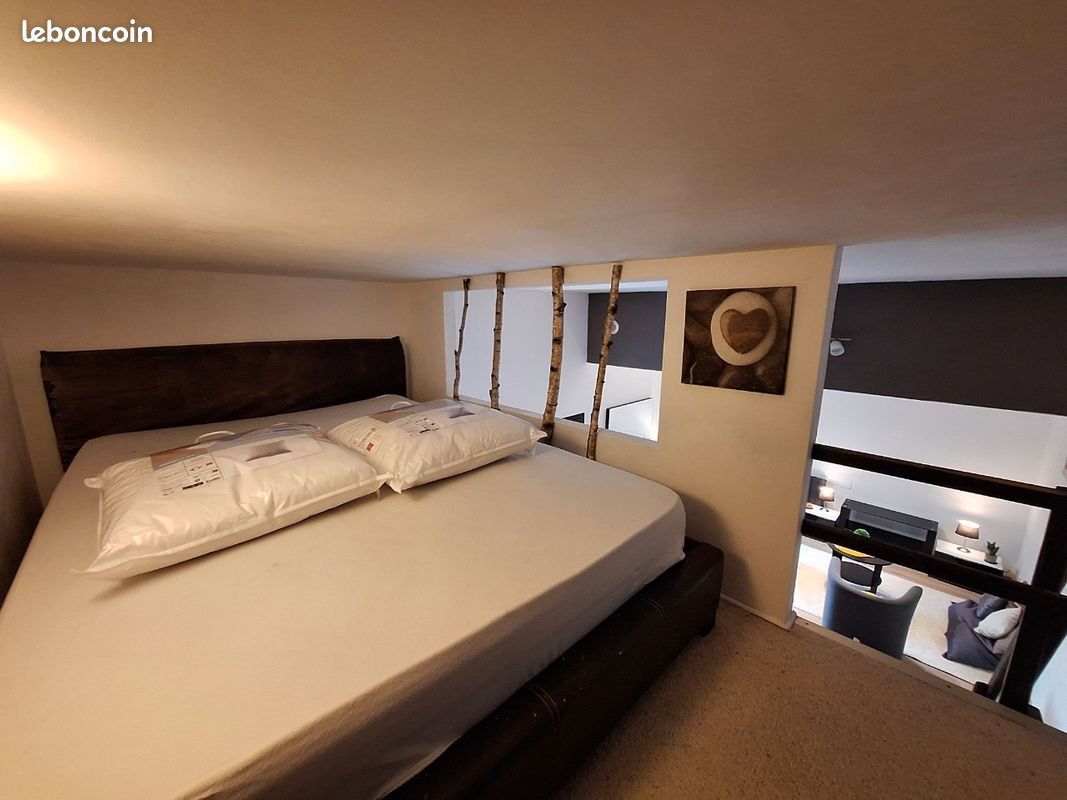 Appartement à louer, 30m², Cognin