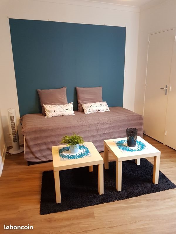 Appartement à louer, 30m², Millau