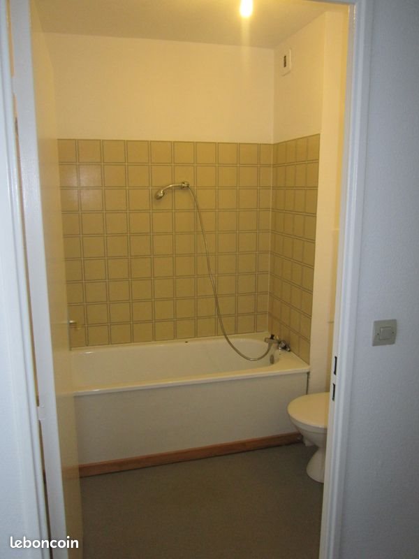 Appartement à louer, 47m², Lyon 8ème