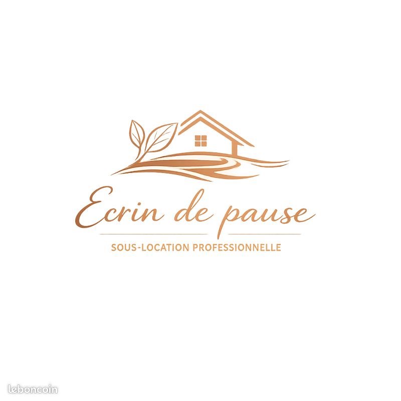 Appartement à louer, 40m², Tours