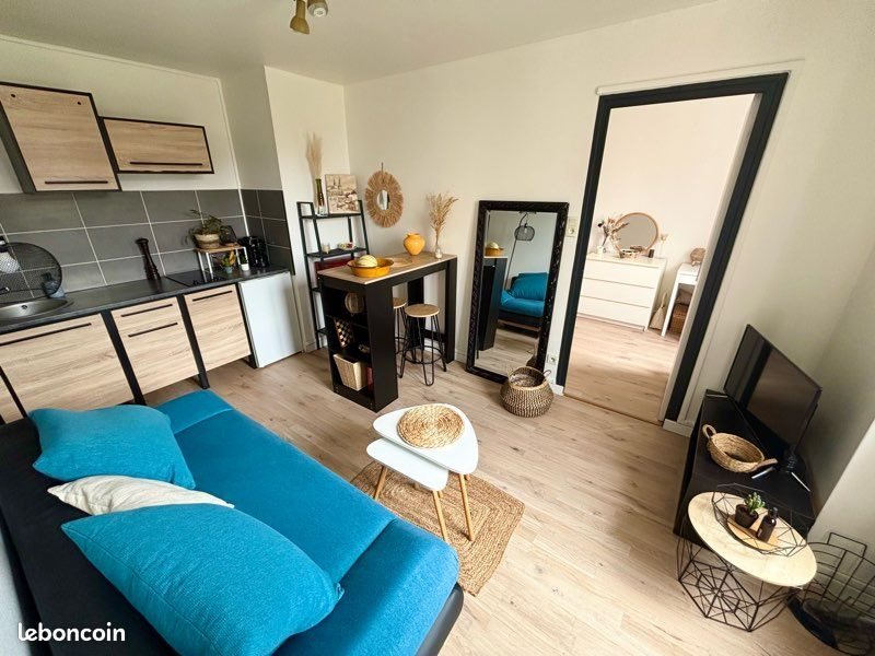 Appartement à louer, 27m², Saint-Etienne
