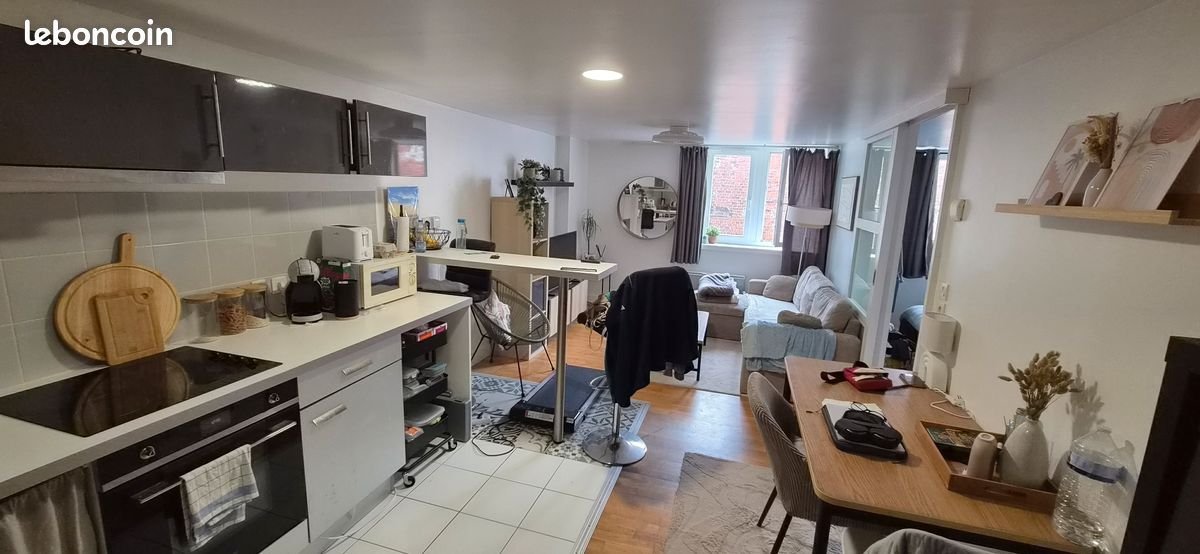 Appartement à louer, 47m², Lille