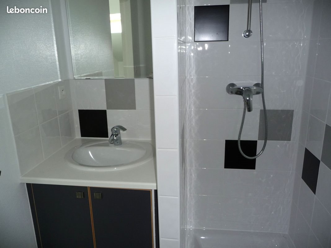 Appartement à louer, 30m², Saint-Etienne