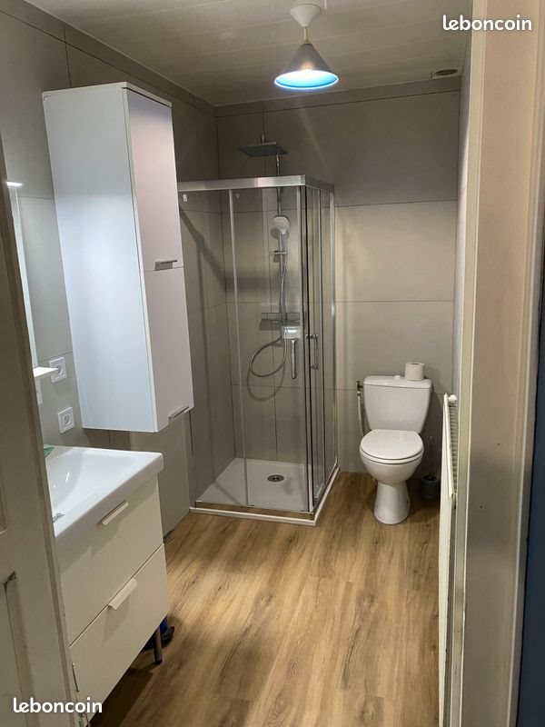Appartement à louer, 38m², Saint-Etienne