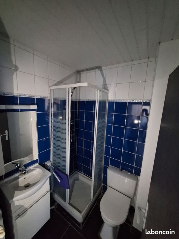 Appartement à louer, 33m², Le Puy-en-Velay