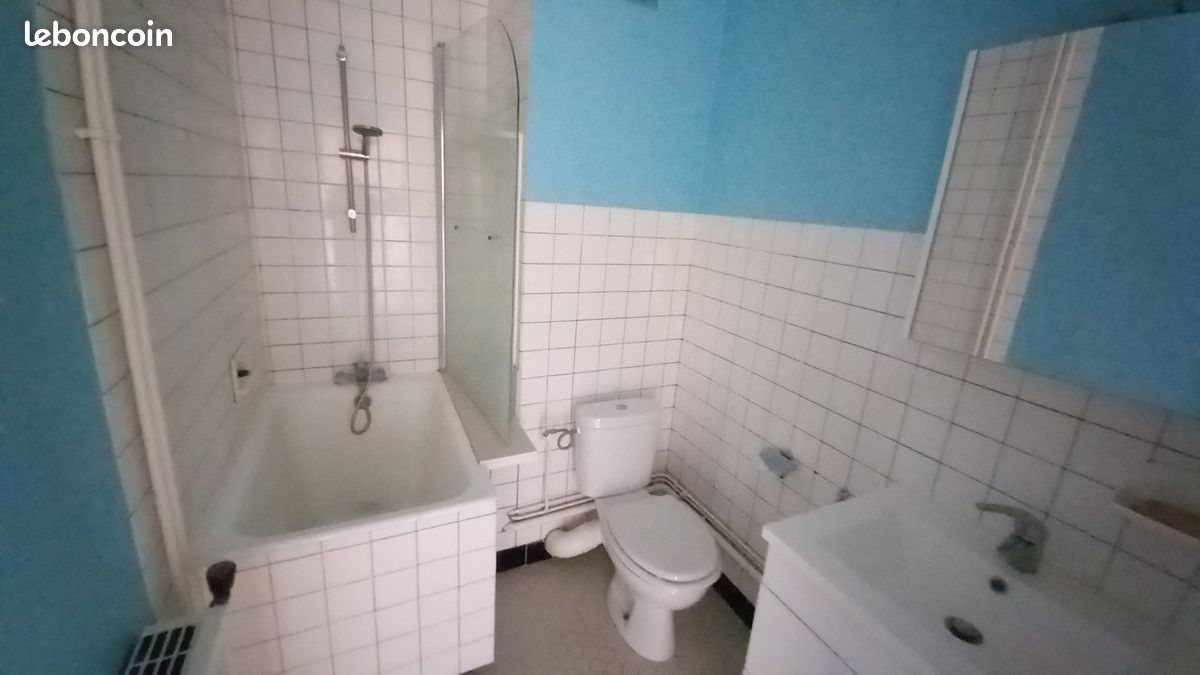 Appartement à louer, 30m², Nancy