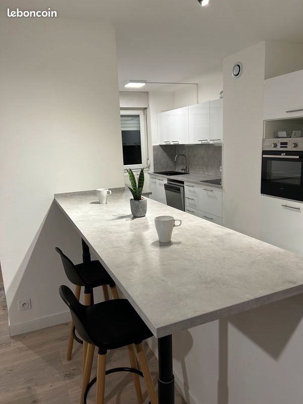 Appartement à louer, 65m², Metz