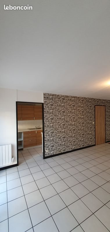 Appartement à louer, 49m², Tourcoing
