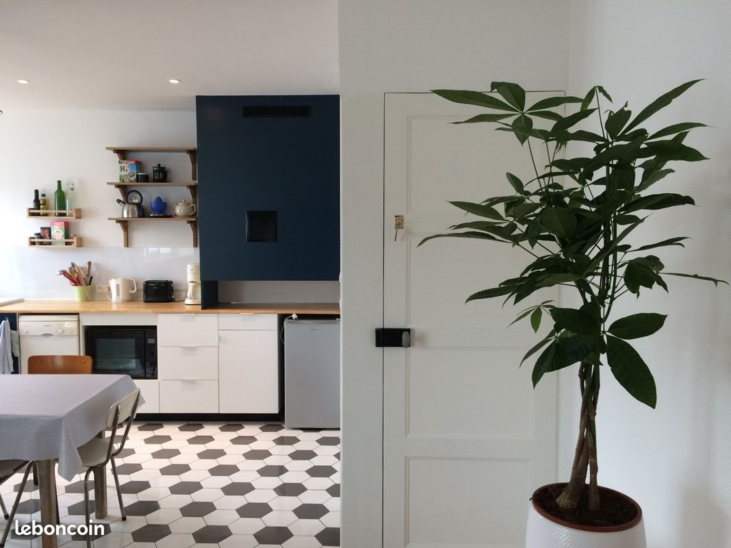 Appartement à louer, 50m², Lorient