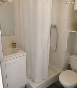 Appartement à louer, 15m², Lyon 7ème