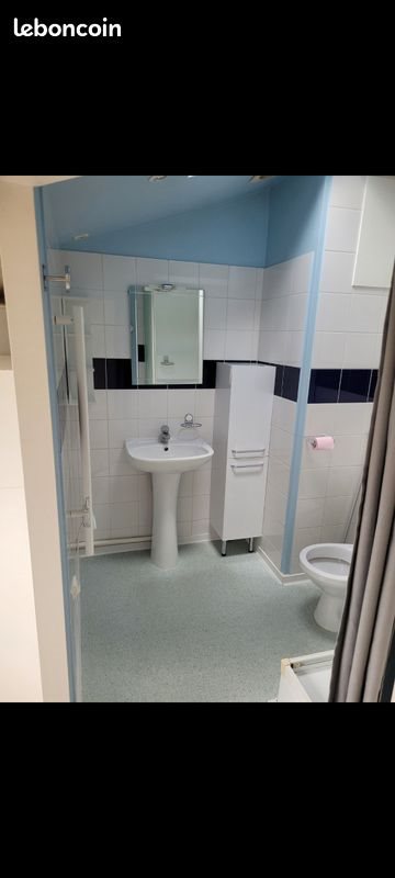 Appartement à louer, 39m², Nancy