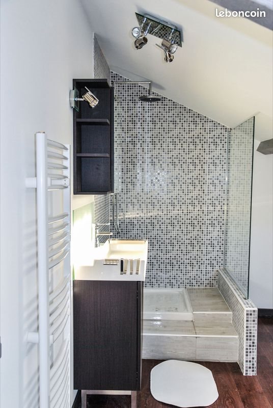 Appartement à louer, 40m², Saint-Étienne