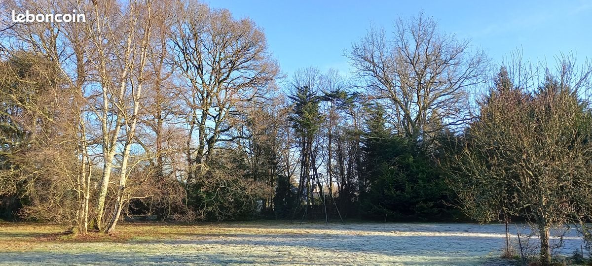 Maison à vendre, 300m², Treillières