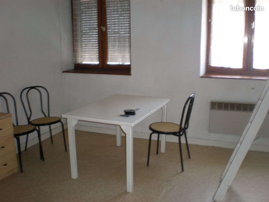 Appartement à louer, 24m², Villeurbanne