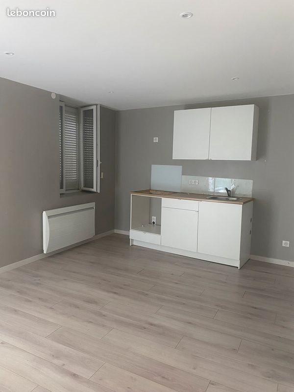 Appartement à louer, 30m², Villeurbanne