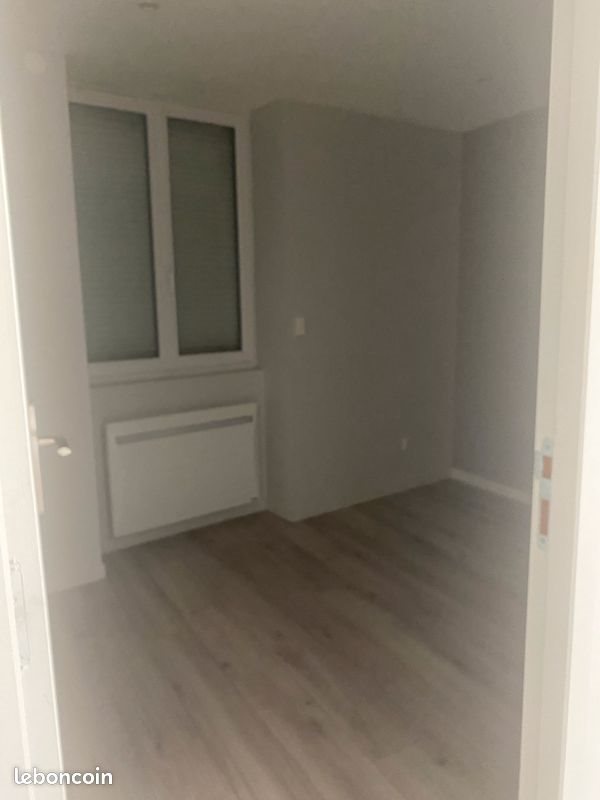 Appartement à louer, 30m², Villeurbanne