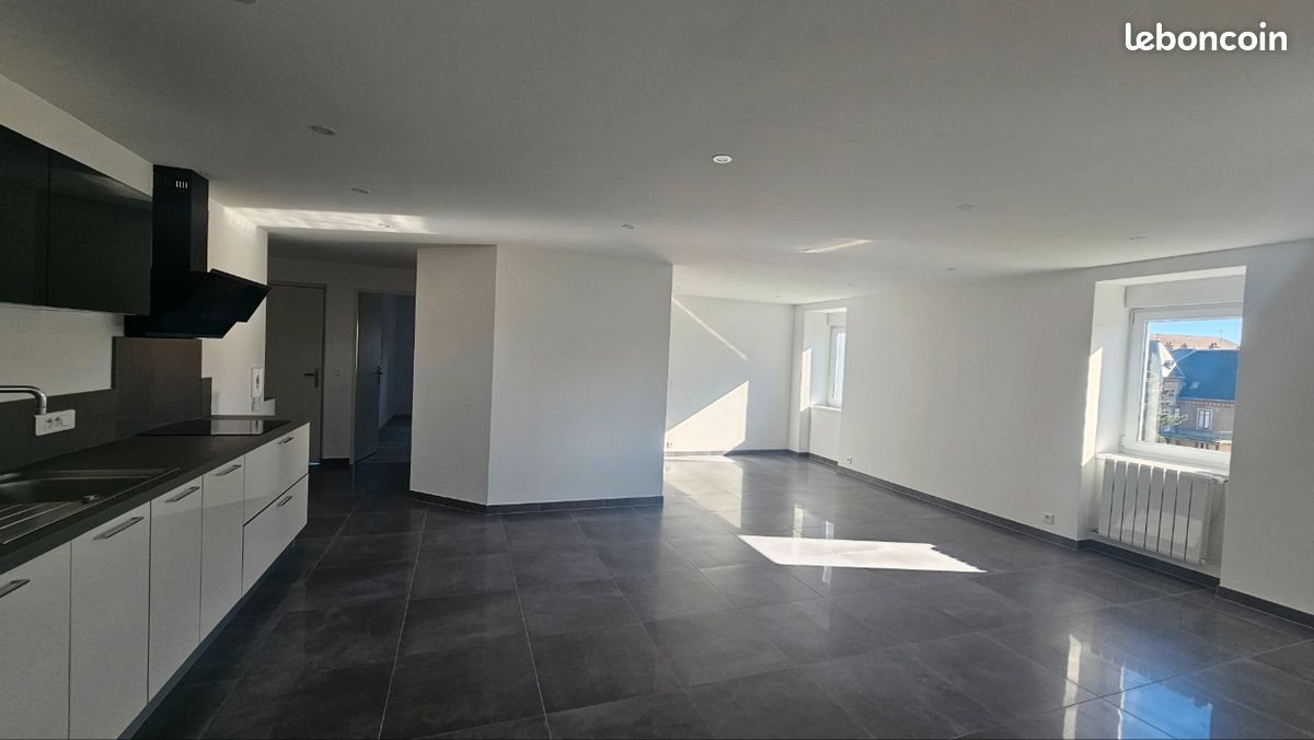 Appartement à louer, 73m², Delle