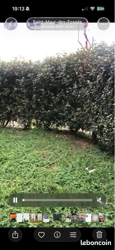 Appartement à vendre, 32m², Saint-Maur-des-Fossés