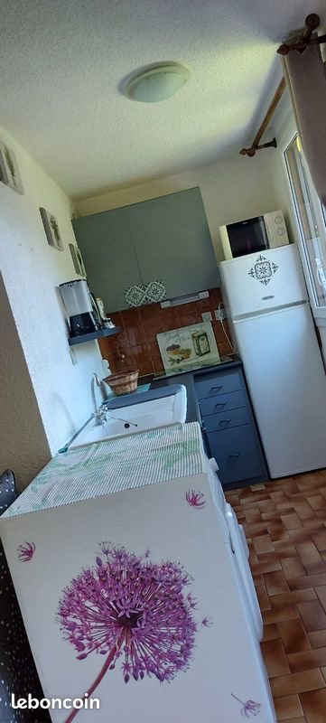 Appartement à louer, 28m², Savines-le-Lac