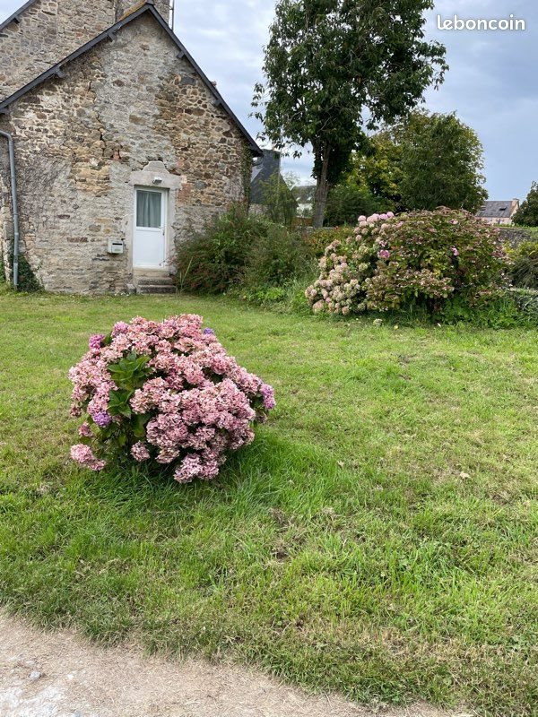 Maison à louer, 32m², Plouguernével