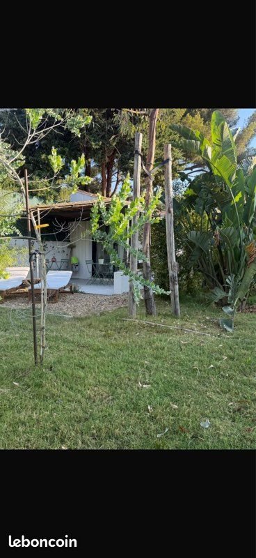 Maison à louer, 37m², Carqueiranne