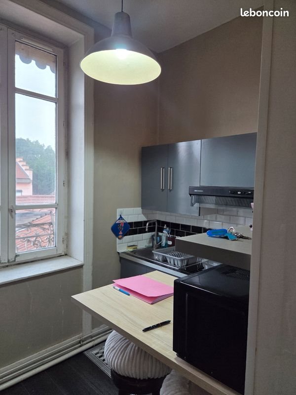 Appartement à louer, 36m², Villeurbanne