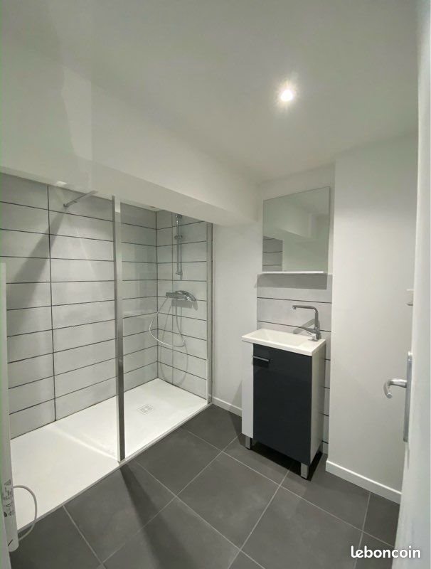 Appartement à louer, 55m², Saint-Étienne