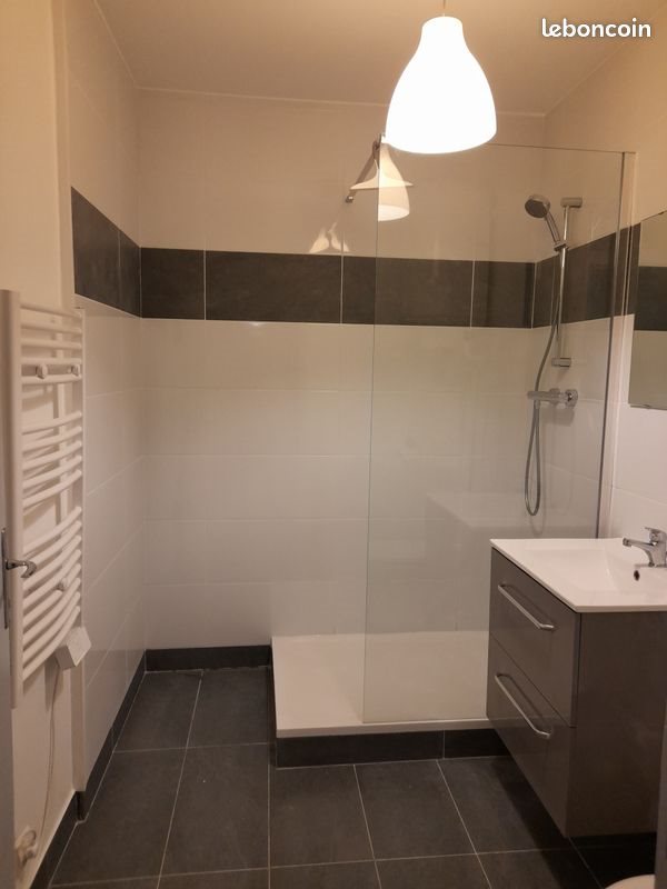 Appartement à louer, 40m², Lyon 7ème