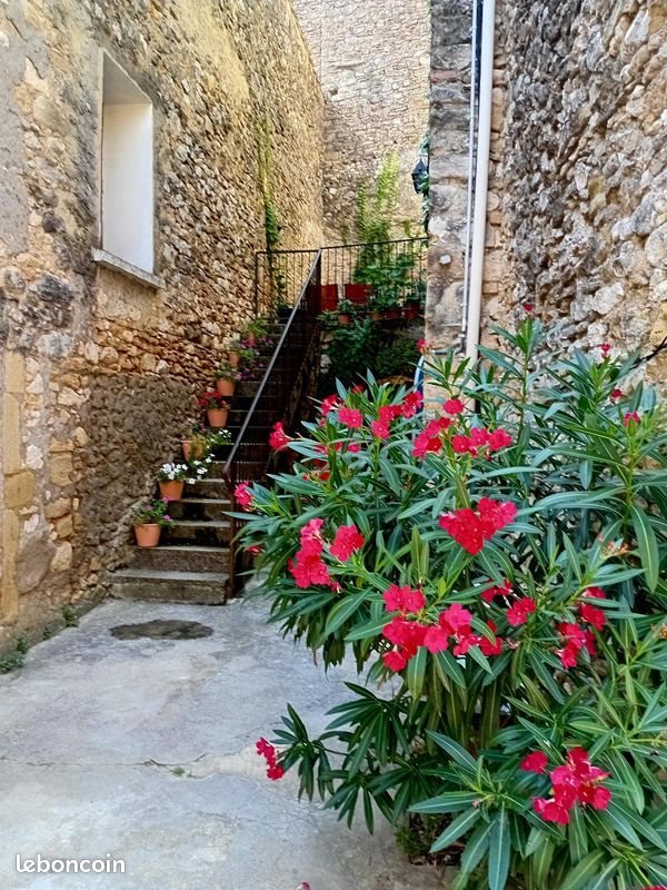 Maison à vendre, 215m², Saint-André-de-Roquepertuis