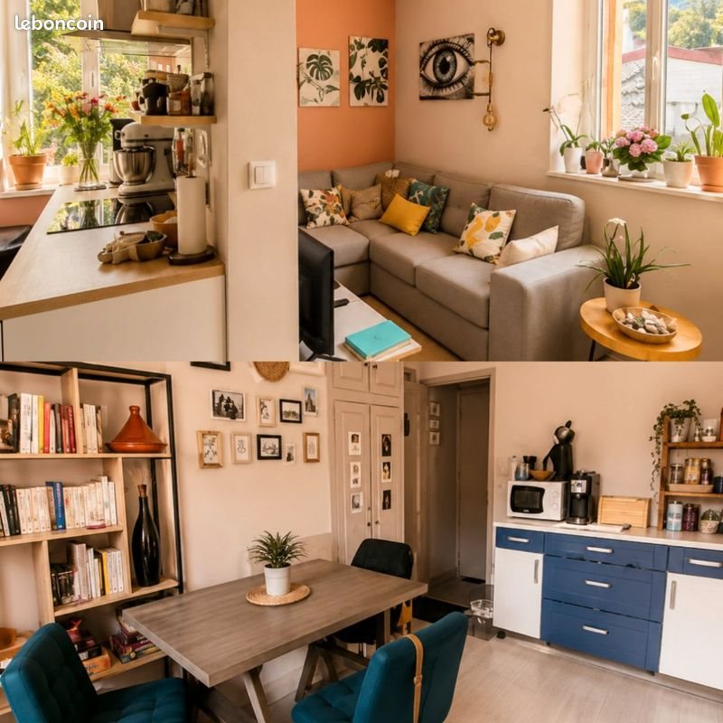 Appartement à louer, 55m², Salins-les-Bains