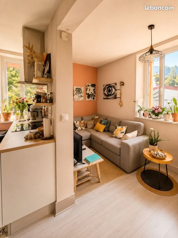 Appartement à louer, 55m², Salins-les-Bains