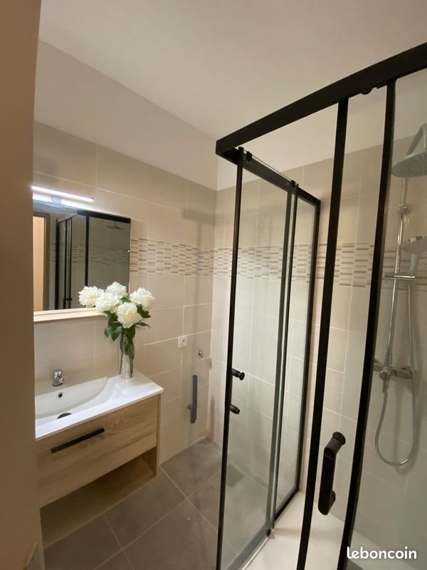 Appartement à louer, 20m², Cluses