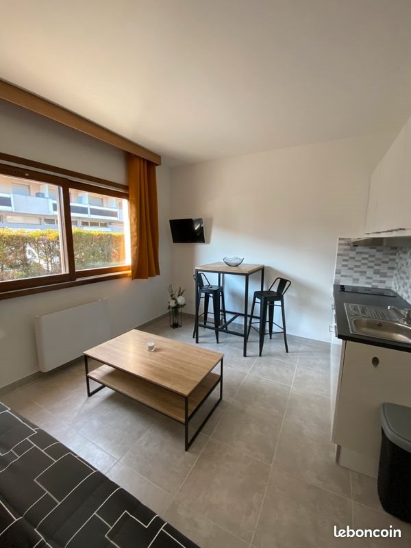 Appartement à louer, 20m², Cluses