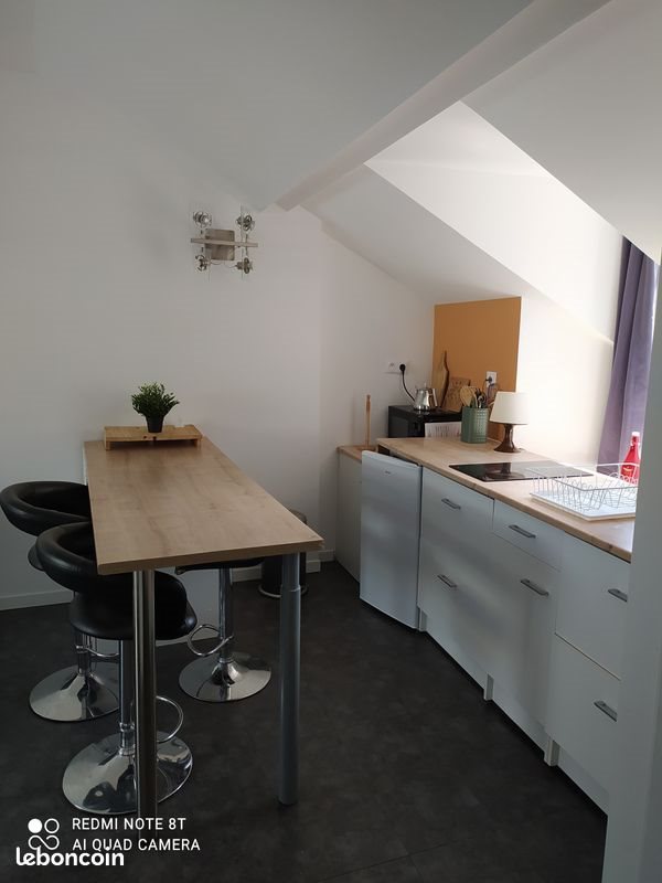 Appartement à louer, 29m², Villeurbanne