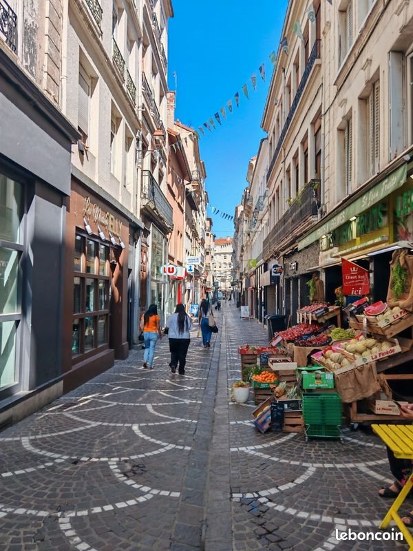 Appartement à louer, 29m², Saint-Etienne
