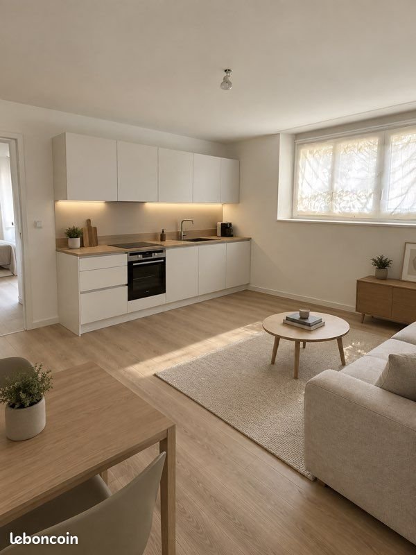 Appartement à louer, 36m², Orléans