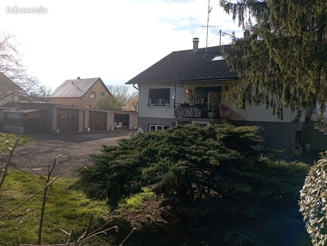 Maison à vendre, 290m², Kembs