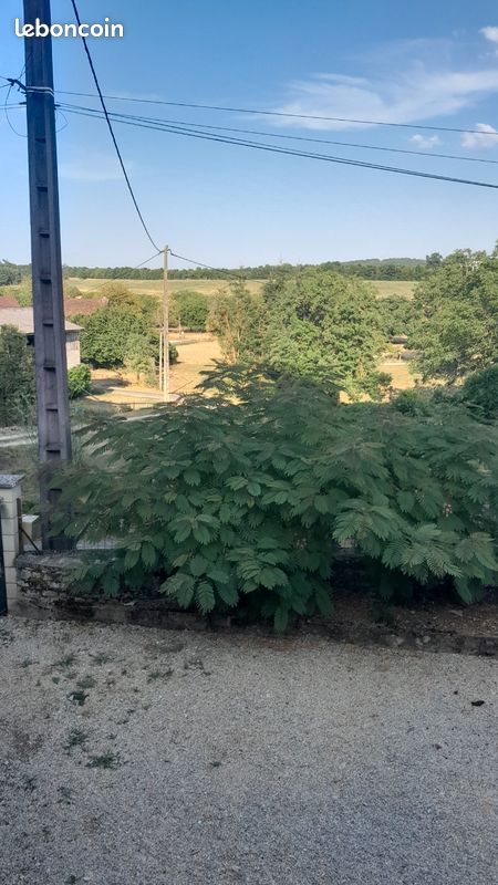 Maison à louer, 106m², Coulaures